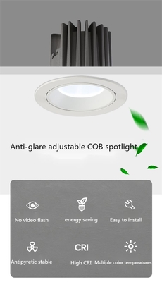 DALI Dimmable LED Wall Washer Spotlight 30W 24deg Lighting Angle Ra90